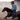 Ariat Trucker Denim Jacket